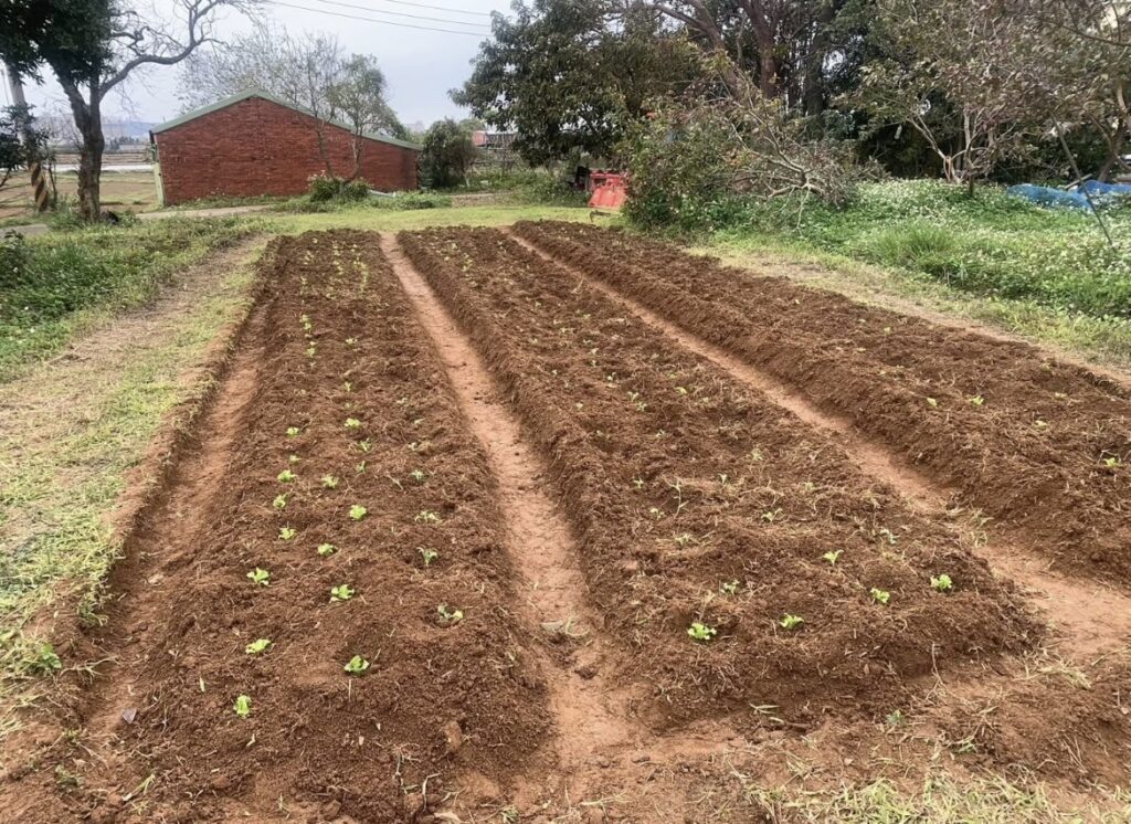 Yoga Farm