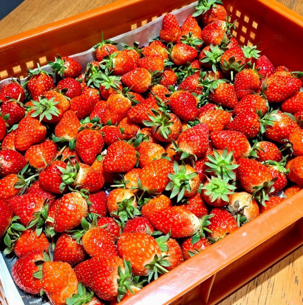 LINE ALBUM 202541 250401 85